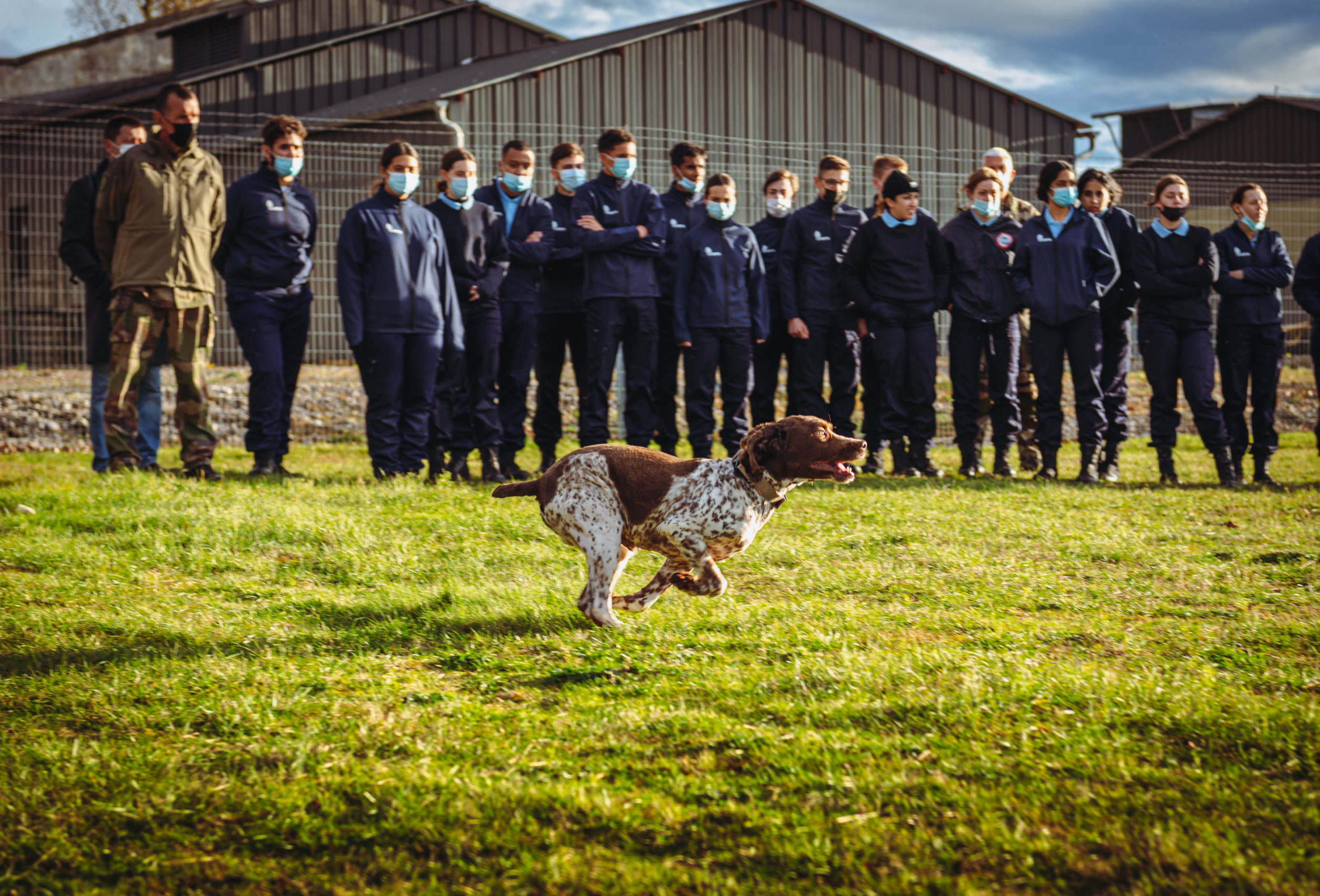 Stages et actions citoyennes des cadets